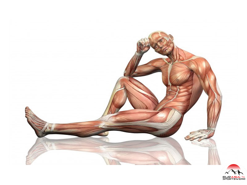 ماهیچه های خود را قوی کنید